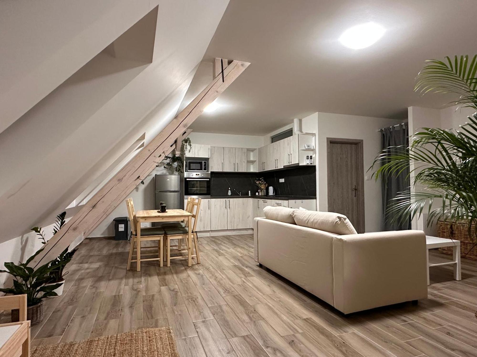 Apartmany Monastery Suites Zirec Dvůr Králové nad Labem Екстериор снимка
